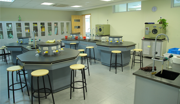 80501501.JPG 80501501.JPG